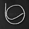 Dyed Synthetic Turquoise Beads Strands G-Z089-A04-A-4
