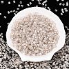 6/0 Transparent Inside Colours Glass Seed Beads SEED-N006-003A-2