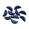 Natural Lapis Lazuli Dyed Butterfly Wing Cabochons G-D078-02G-1