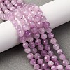 Natural Kunzite Beads Strands G-P587-B01-02-1