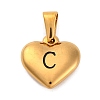 304 Stainless Steel Pendants STAS-P278-01C-G-1-1