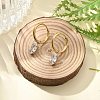 Ion Plating(IP) 304 Stainless Steel Micro Pave Cubic Zirconia Hoop Earrings STAS-R004-04G-02-2