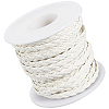 10M Flat Braided Imitation Leather Cords LC-CL0001-04D-1