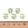 Transparent Acrylic Beads LS-MACR-S373-132-B02-6