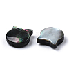 Natural Black Lip Shell & White Shell Beads SSHEL-N034-123A-3