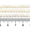 Shell Beads Strands SSHEL-E571-38-4mm-5