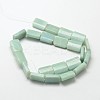 Natural Amazonite Rectangle Beads Strands G-P091-55-2