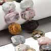 Natural Crazy Agate/Green Opal/Prehnite/Tree Agate Beads Strands G-H078-B24-01-2