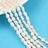 Natural Cultured Freshwater Pearl Beads Strands PEAR-P064-20G-02A-1