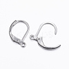 Tarnish Resistant 304 Stainless Steel Leverback Earring Findings LS-STAS-H376-100-2