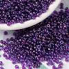 MIYUKI Round Rocailles Beads X-SEED-G008-RR0352-1