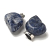 Natural Sodalite Pendants G-Z067-02P-03-3