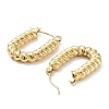 Ion Plating(IP) 304 Stainless Steel Oval Hoop Earrings EJEW-K243-13G-2
