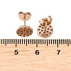 304 Stainless Steel Stud Earring Findings Ion Plating(IP) STAS-P434-06B-RG-3
