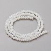 Glass Beads Strands GLAA-L031-01-C-4