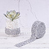 Glitter Resin Hotfix Rhinestone(Hot Melt Adhesive On The Back) OCOR-WH0052-01F-5
