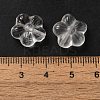 Natural Quartz Crystal Beads G-B100-06-3