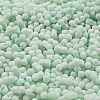 Macaron Color Opaque Frosted Glass Seed Beads SEED-K009-12B-07-3