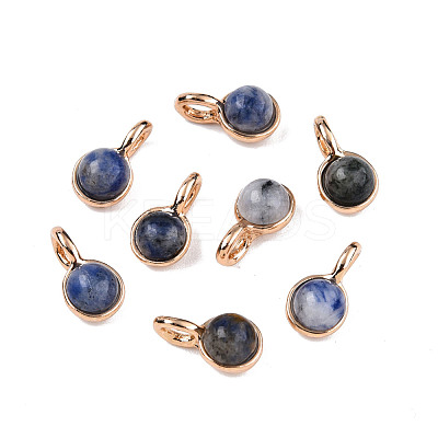 Natural Blue Spot Jasper Charms G-N326-141A-1