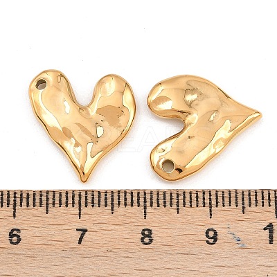 304 Stainless Steel Pendants STAS-H241-30G-1