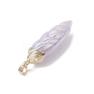 Rainbow Iridescent Plating Resin Pendants PALLOY-JF02716-1