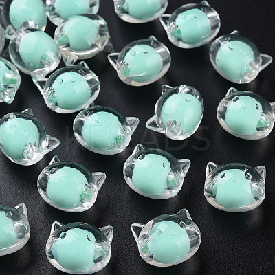 Transparent Acrylic Beads MACR-S373-115-B03-1