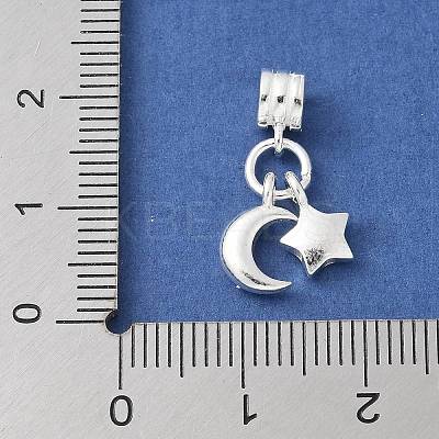 925 Sterling Silver European Dangle Charms STER-H115-01S-1