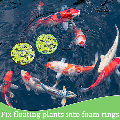 2 Sets 2 Colors EVA Foam Feeding Ring for Fish AJEW-CN0002-53-1