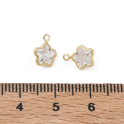Brass Pave Clear Cubic Zirconia Charms CU-CBAD360-03G-02-1