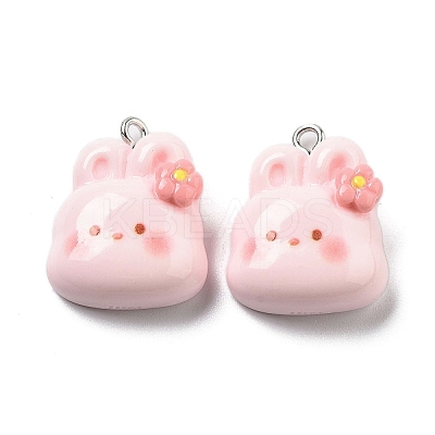 Opaque Resin Pendants RESI-R444-05H-1