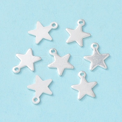 304 Stainless Steel Charms X-STAS-L234-069S-1