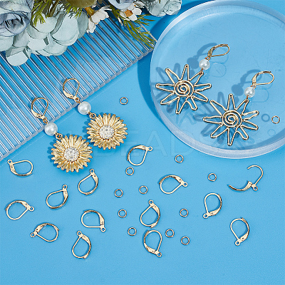 80Pcs 304 Stainless Steel Leverback Earring Findings STAS-SP0001-13-1