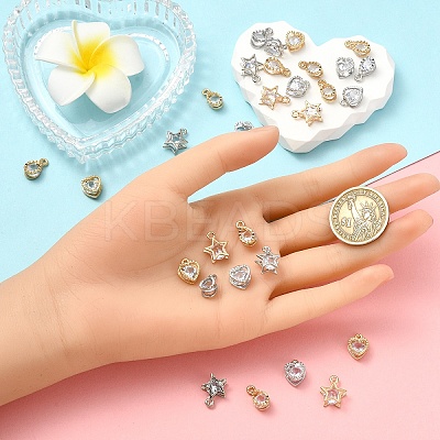 60Pcs 6 STYLES Alloy Charms ZIRC-YW0001-22-1