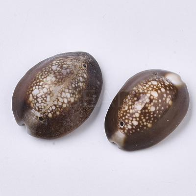 Natural Cowrie Shell Links connectors SSHEL-N034-25-1