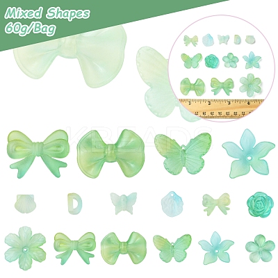 60G Transparent Acrylic Beads OACR-FS0001-90C-1