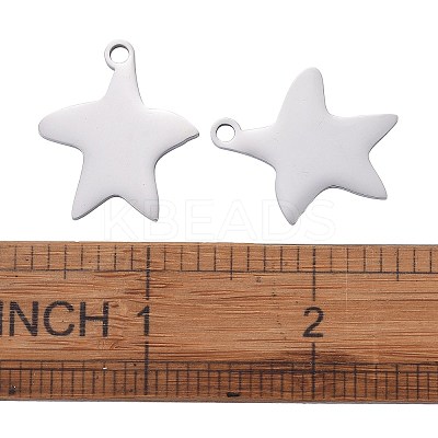 Tarnish Resistant 304 Stainless Steel Pendants LS-STAS-I140-13S-1