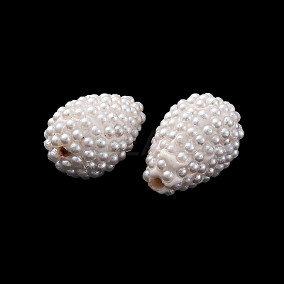Handmade Polymer Clay Beads LS-KK-F894-17-1