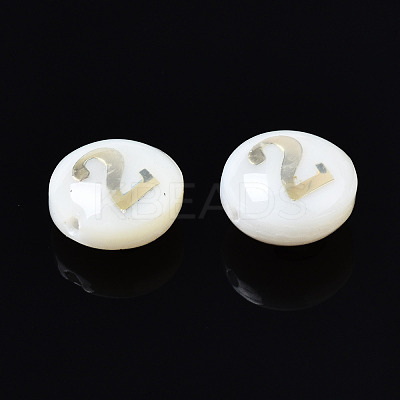 Natural Freshwater Shell Beads SHEL-N003-20-02-1