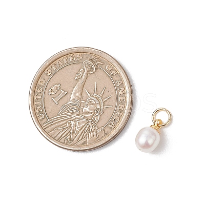 Natural Cultured Freshwater Pearl Rice Charms PALLOY-JF04820-1
