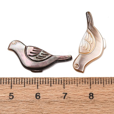 Natural Black Lip Shell Carved Cabochons SHEL-G024-06-1