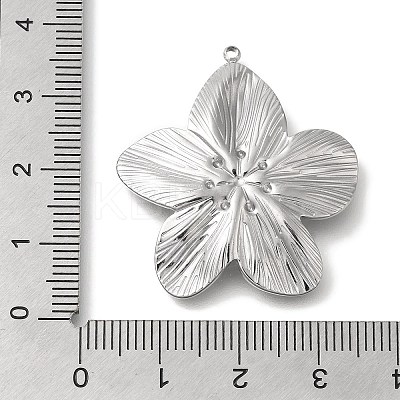 Anti-Tarnish 304 Stainless Steel Pendants LS-STAS-Z092-05P-1
