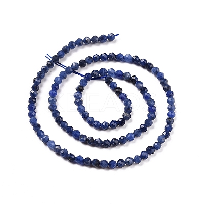 Natural Sodalite Beads Strands X-G-C009-A07-1