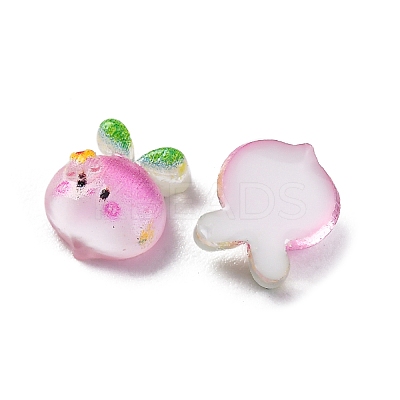 Cartoon Transparent Resin Cabochons CRES-R459-01D-1
