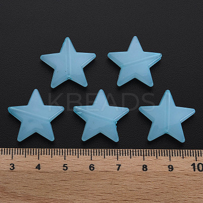Imitation Jelly Acrylic Beads LS-MACR-S373-90-E08-1
