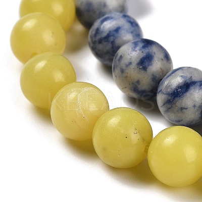 Natural Blue Spot Jasper/Flower Amazonite/Labradorite/Sesame Jasper/Glass Beads Strands G-P562-C-03-1