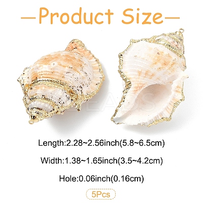 5Pcs Natural Sea Shell Big Pendants with Golden Brass Edge BSHE-YW0001-16-1