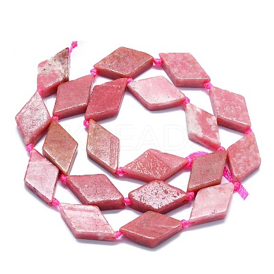 Natural Argentina Rhodonite Beads Strands G-K245-E04-A02-1