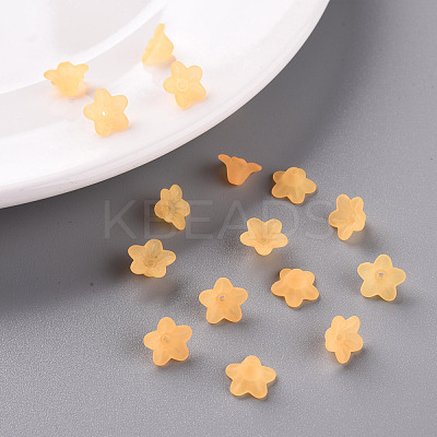 Transparent Acrylic Beads X-PL554-07-1