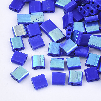 FGB 2-Hole Glass Seed Beads SEED-S031-L-048-R-1