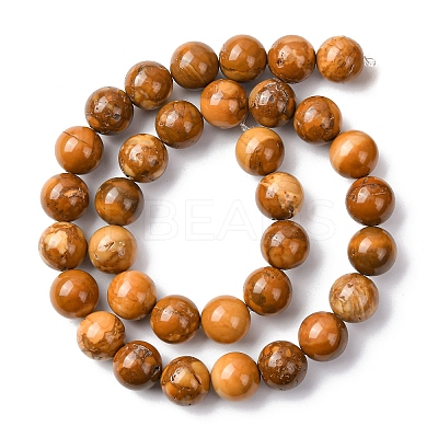 Natural Alashan Agate Beads Strands G-H343-D05-12mm-C-1